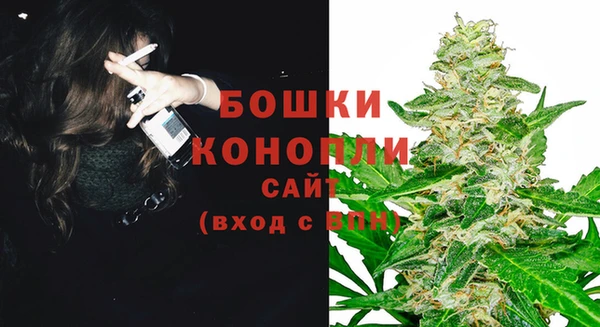 мдпв Бердск
