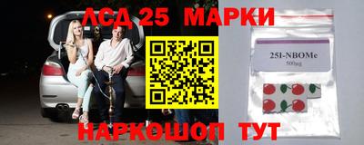 прущие грибы Будённовск