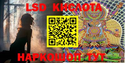 прущие грибы Будённовск