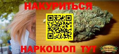 прущие грибы Будённовск