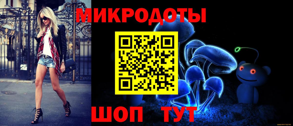Псилоцибиновые грибы Psilocybine cubensis Кострома