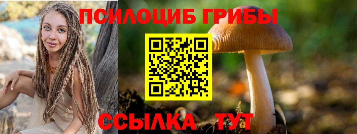 Кострома  цена наркотик  Вход с VPN  Галлюциногенные грибы мухоморы 