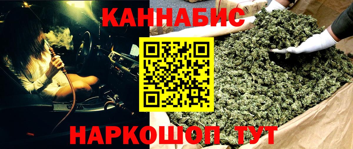 Бошки Шишки сатива Кострома
